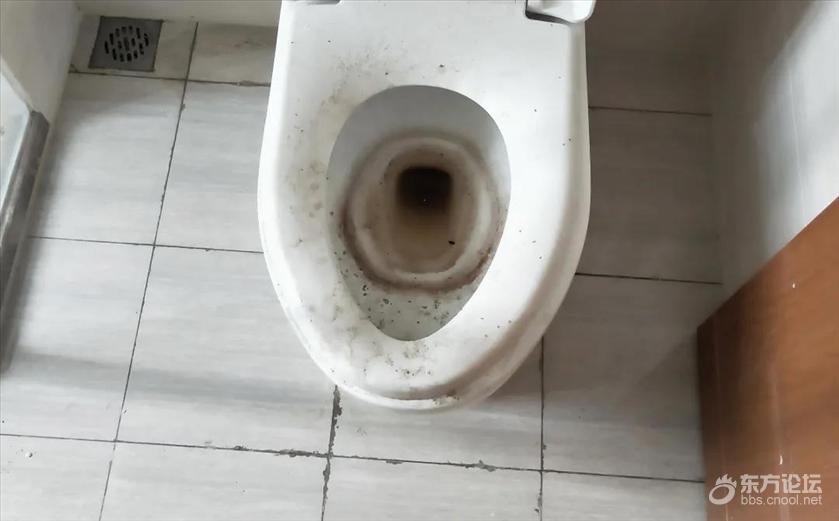 业主新房还没交付就住了工人,毛坯房为什么被业主强行入住