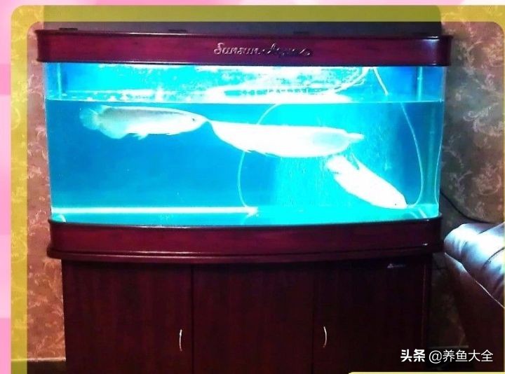 涓轰簡鍏婚奔鎶婂娣逛簡,涓轰簡鍏婚奔绂诲