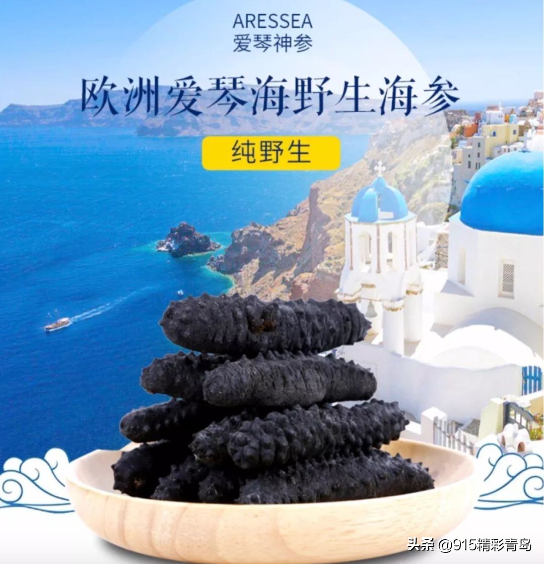 中国最好的海刺海参,黄金刺参西沙群岛深海纯野生海参