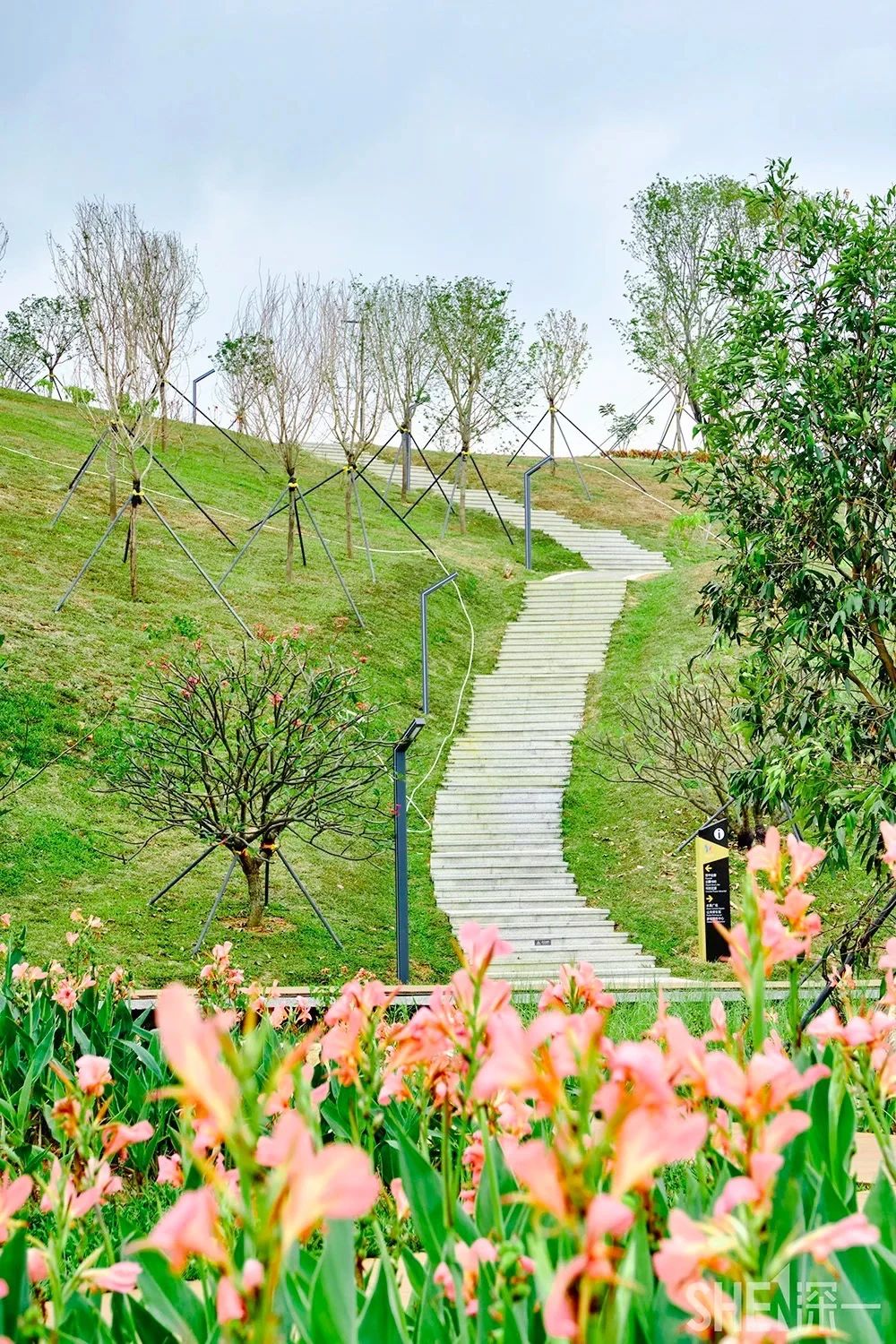 深圳14号线地铁站最值得打卡景点,深圳地铁11号线打卡景点