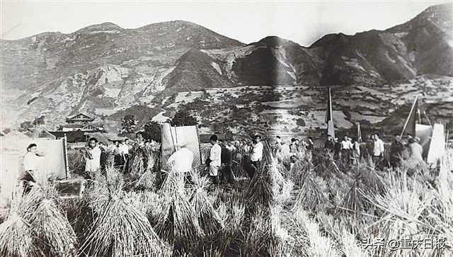 鍐滃満杞瀷缁忚惀妯″紡,鍐滀笟铦跺彉鍐滃満鎼嚎涓婅交鏉惧綋鍐滄皯