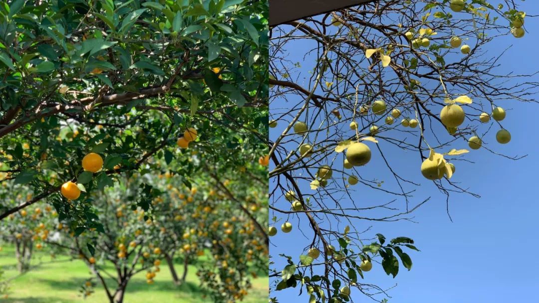 享受这个城市的美好,感受长沙这座不夜城