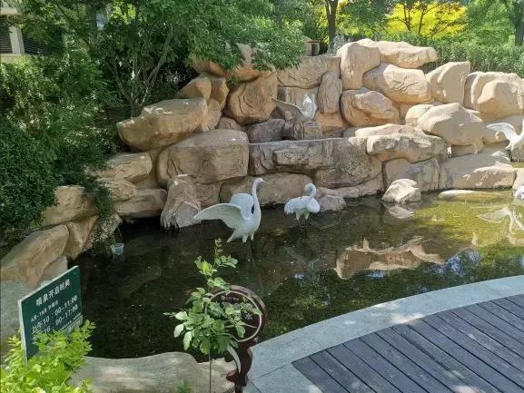 关于龙湾城片区院长这么说，附带优质社区踩盘，你们猜猜是哪里？