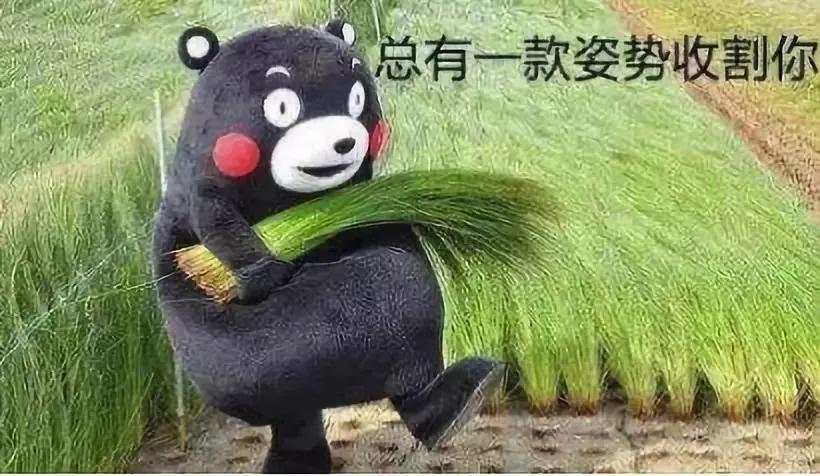 赚钱的本质合集,带你看清赚钱的本质