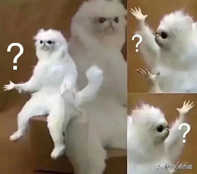 太离谱了,还我酷飒女精英啊