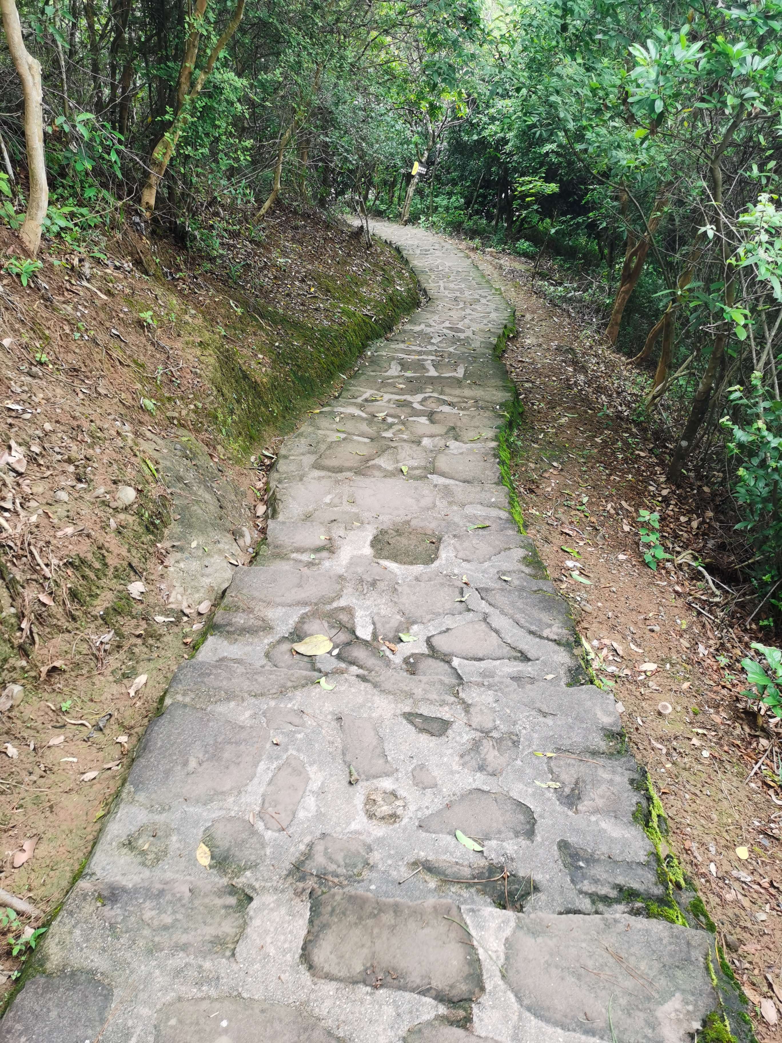 叮当猫还玩81式吗,叮当猫还玩率土之滨吗