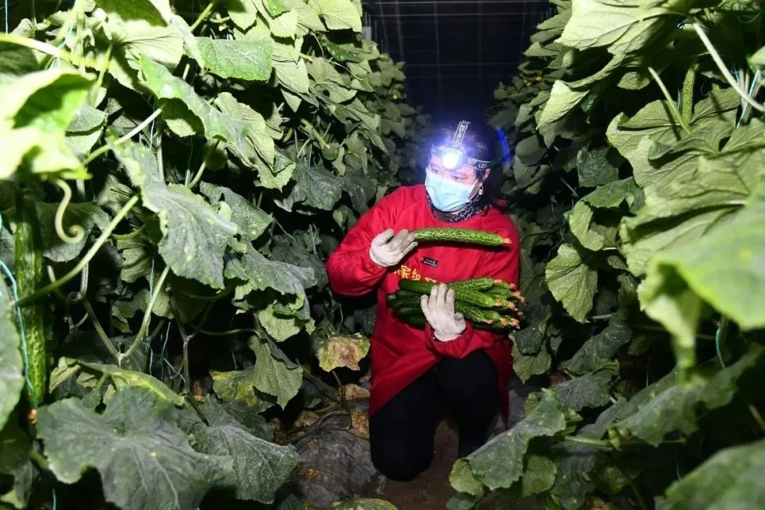 用镜头将瞬间定格永恒,镜头定格感动影像凝聚力量