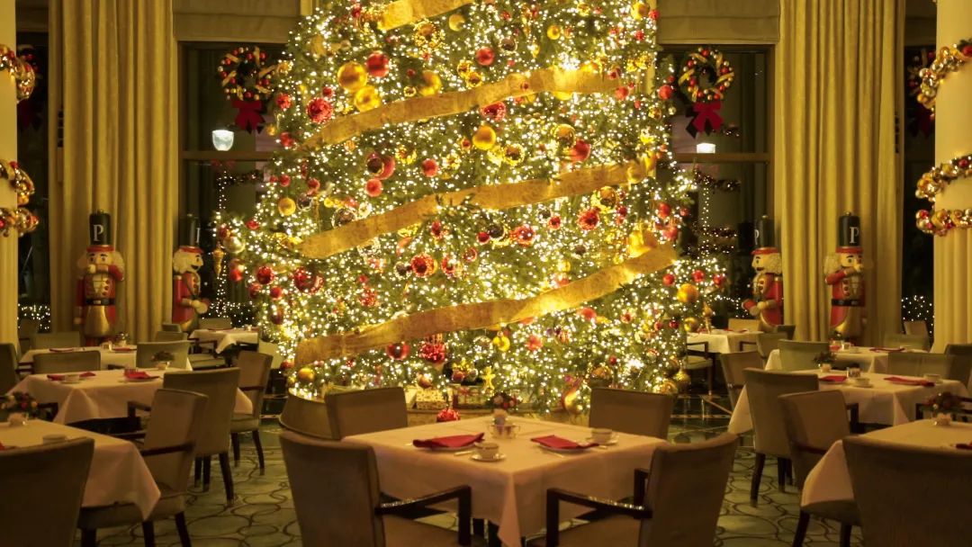 上海哪里圣诞树最好,上海千树圣诞树