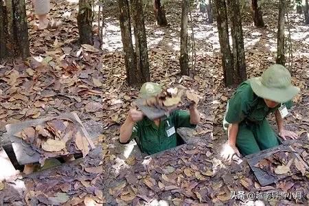 越南旅游有什么景点推荐,越南旅游景点必去十大英语
