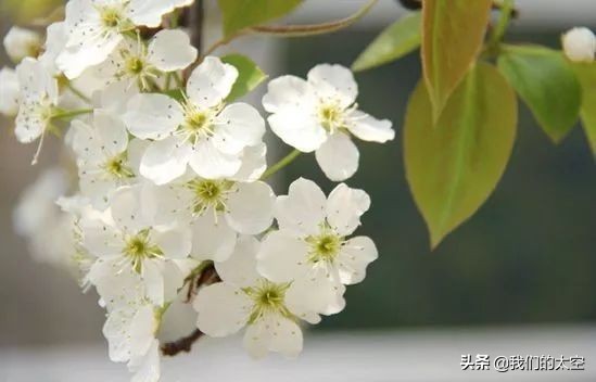 太空征文选登⑤|一路追梦，愿携手同行