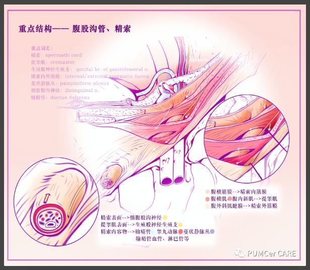 灵魂画手原创上热门,灵魂画手来了图片