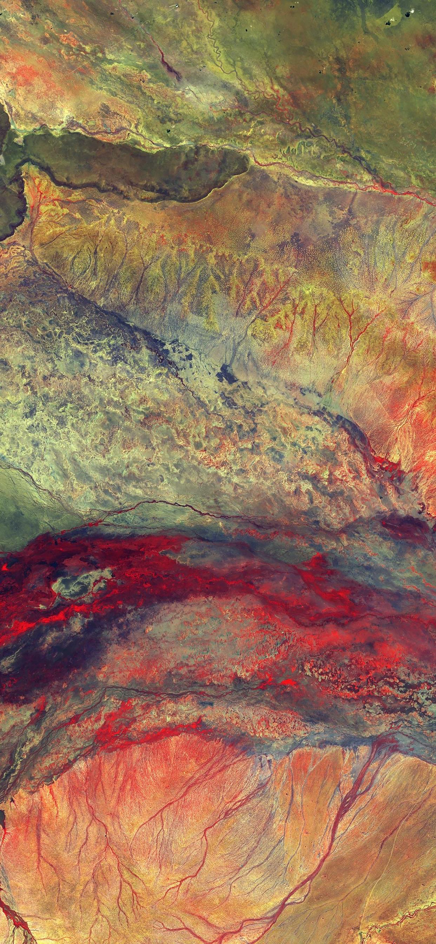 高贵到极致色彩分明壁纸,苹果极致色彩壁纸高清