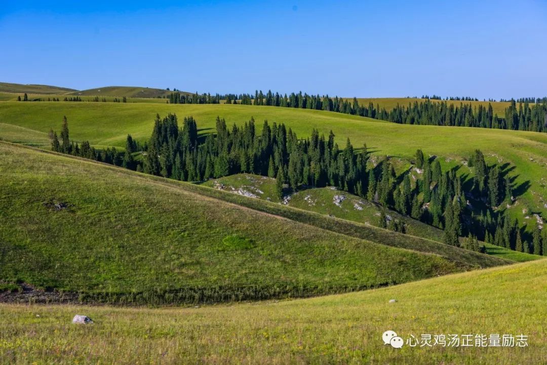 正能量语录句句心碎说的很精辟,阳光心态的正能量句子句句暖心
