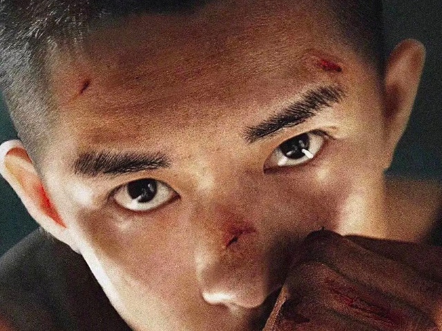 少年的你票房能达到多少 (少年的你被霸凌就是我的罪过吗)