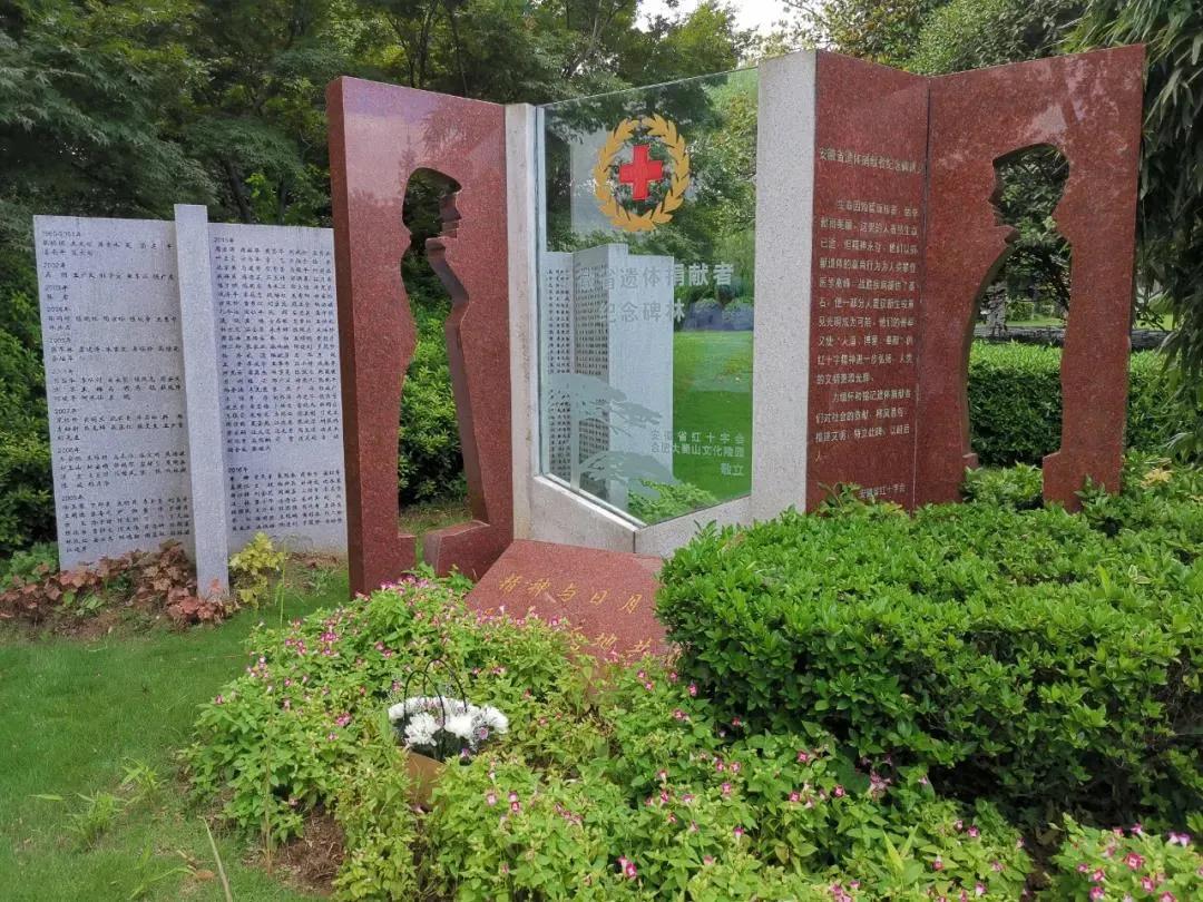 88岁老人离世捐遗体,8旬老人遗体捐献的辉煌故事