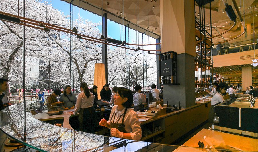 东京｜堪比艺术馆的星巴克臻选®烘培工坊樱花海中品满分咖啡