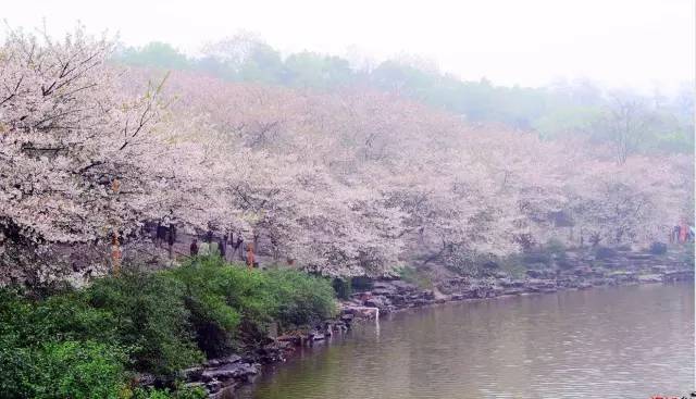 长沙身份证430102,长沙42开头的身份证