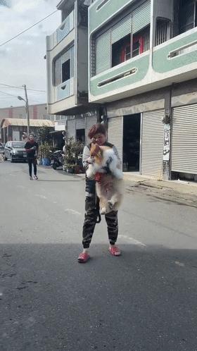 柯基长大了成什么样子,柯基长大都是一个样吗