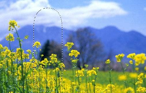 ps2019版矩形选框工具怎么填充颜色,ps选框入门基础知识