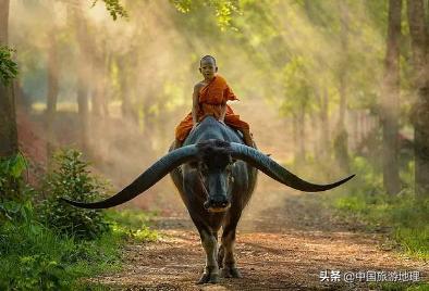 有哪些关于泰国的冷知识知乎,泰国冷知识全部