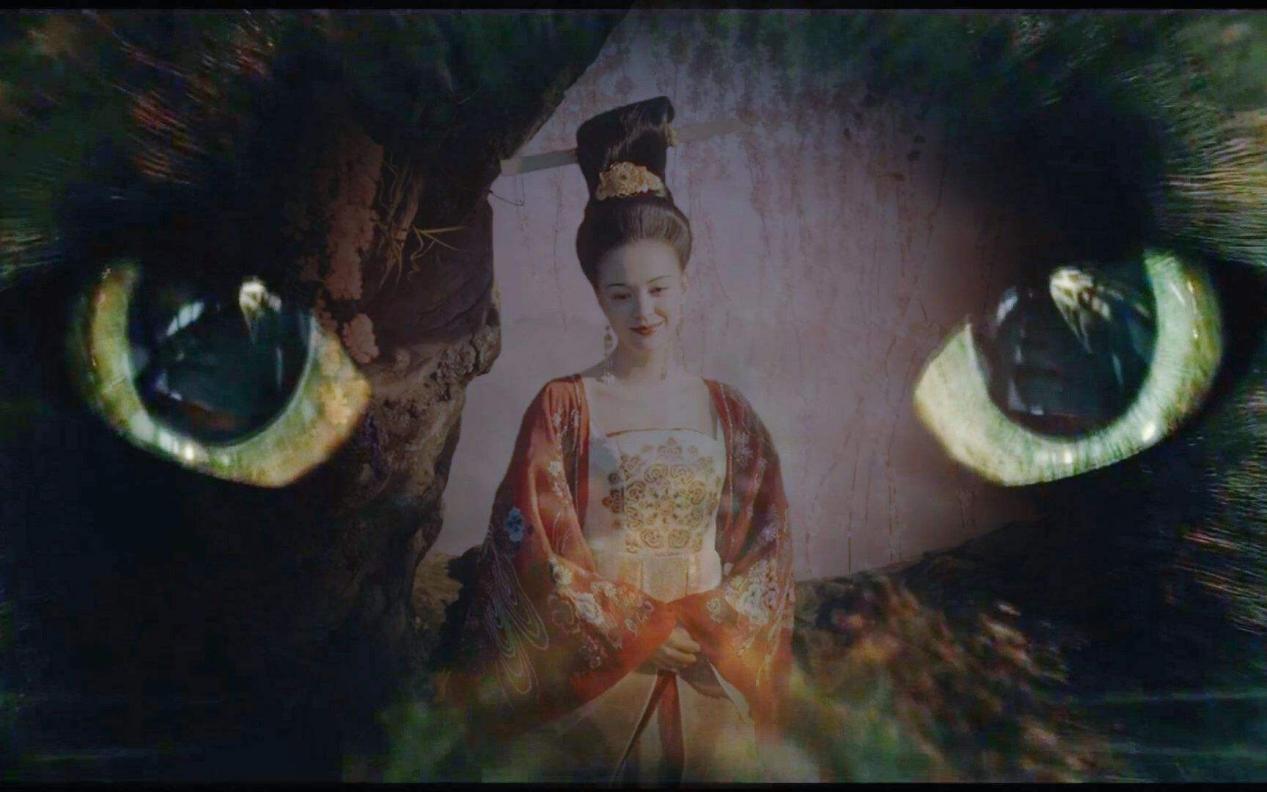 养了一年的小猫咪野性还是挺强,既然选择养小猫咪就要对它负责