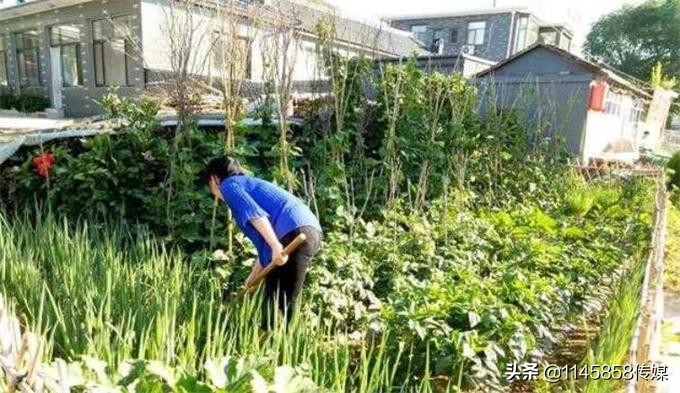 承德七家农家温泉,承德隆化七家湾温泉