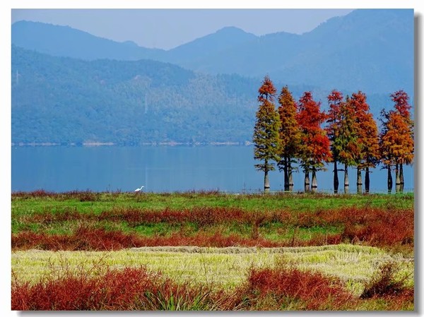 余姚四明湖开元山庄,余姚四明湖开元山庄自驾游