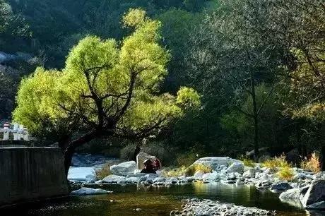 焦作大山深处的景点,焦作古村攻略