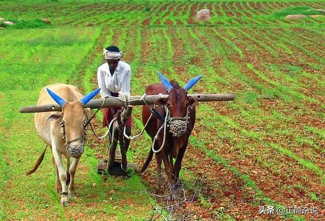 印度的八大产业，你不得不服！