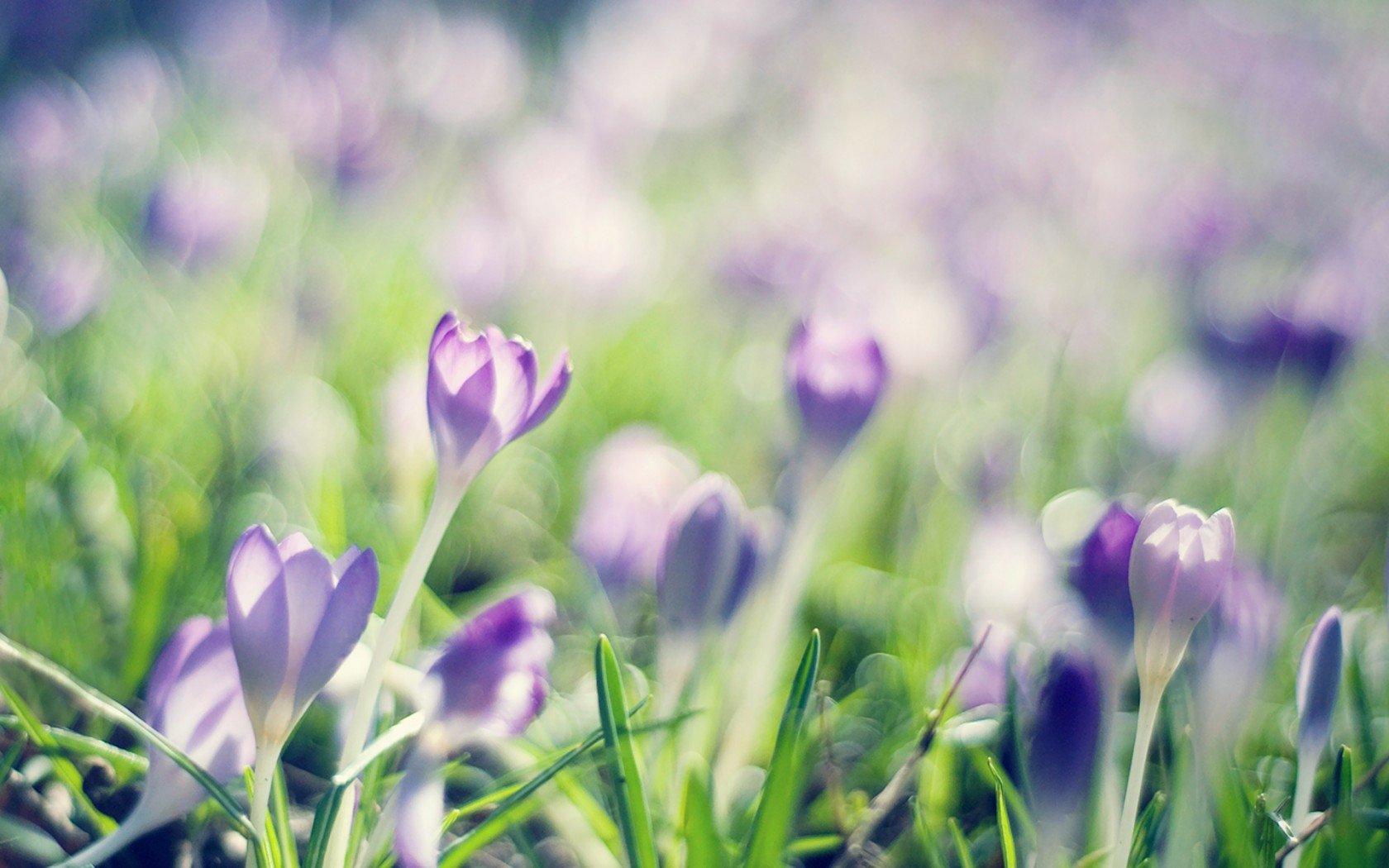 孕妇感染hpv还可以喂奶吗,感染hpv39tct正常备孕怎么办