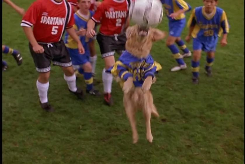 印度电影推荐大片9.0以上评分真实,最新动作电影推荐大片9.0以上评分