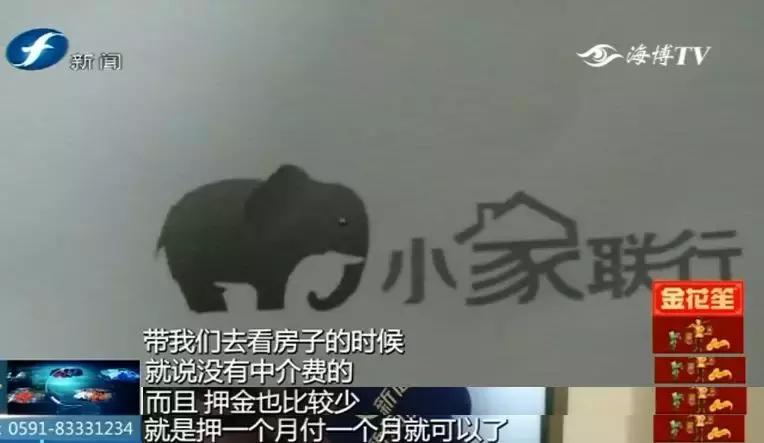 灏忓鑱旇璺戣矾绉熷鎬庝箞缁存潈,灏忓鑱旇绉熸埧绾犵悍鍚庣画