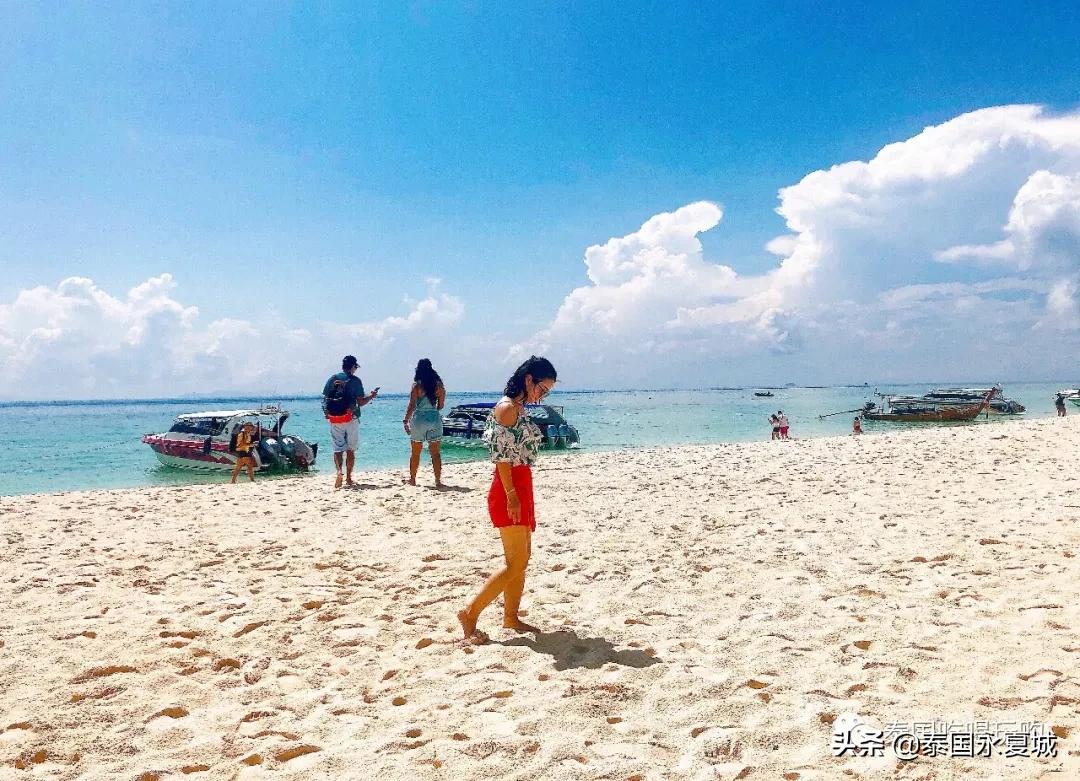 飞去热带的岛屿游泳,飞去热带的岛屿潜水