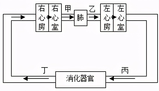临沂2022生物会考答案,罗庄区生物一模试卷