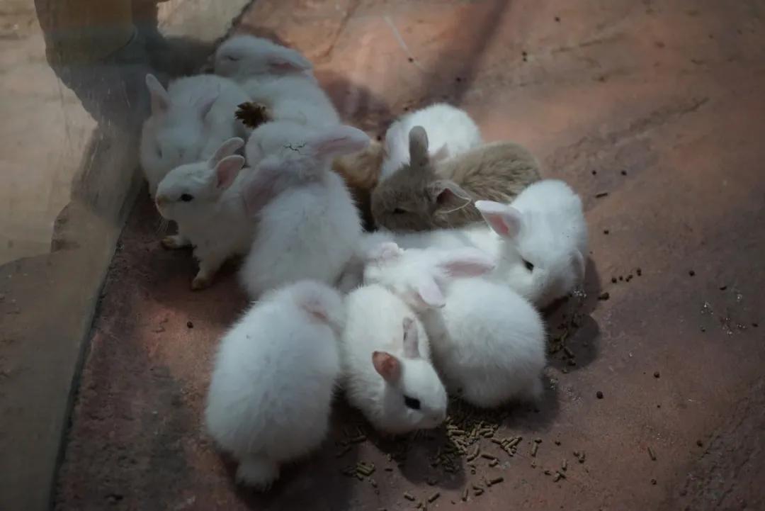 占地30000㎡！这艘建在安华汇天台上的巨船，竟是亲子乐园