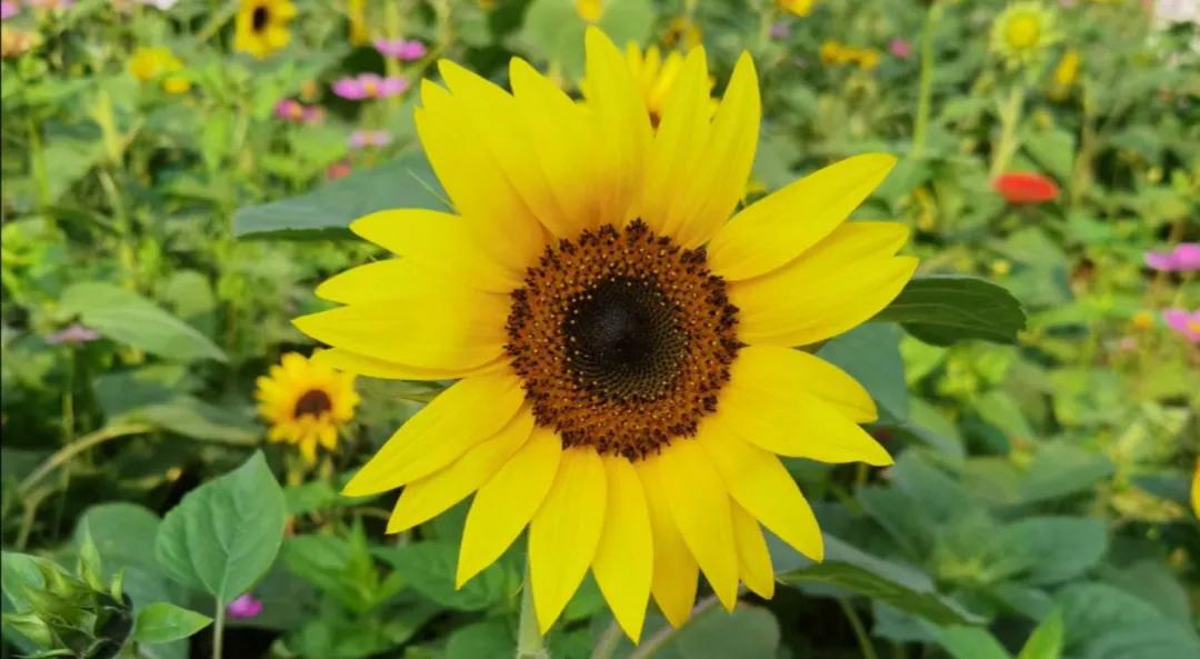 股票的振幅在哪里看,股市的振幅