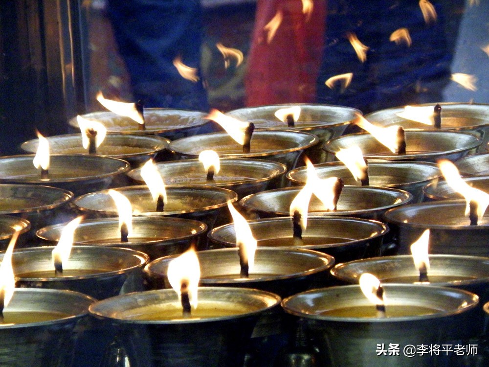 300万头鲸鱼的悲歌，欧美和日本的黑暗捕鲸史，它们驮着欧美文明