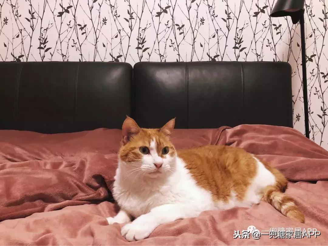 冬天暖窝推荐,体寒女孩必备的20个暖窝神器