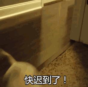 粤语中的“AAB”叠词,你认识哪一些?