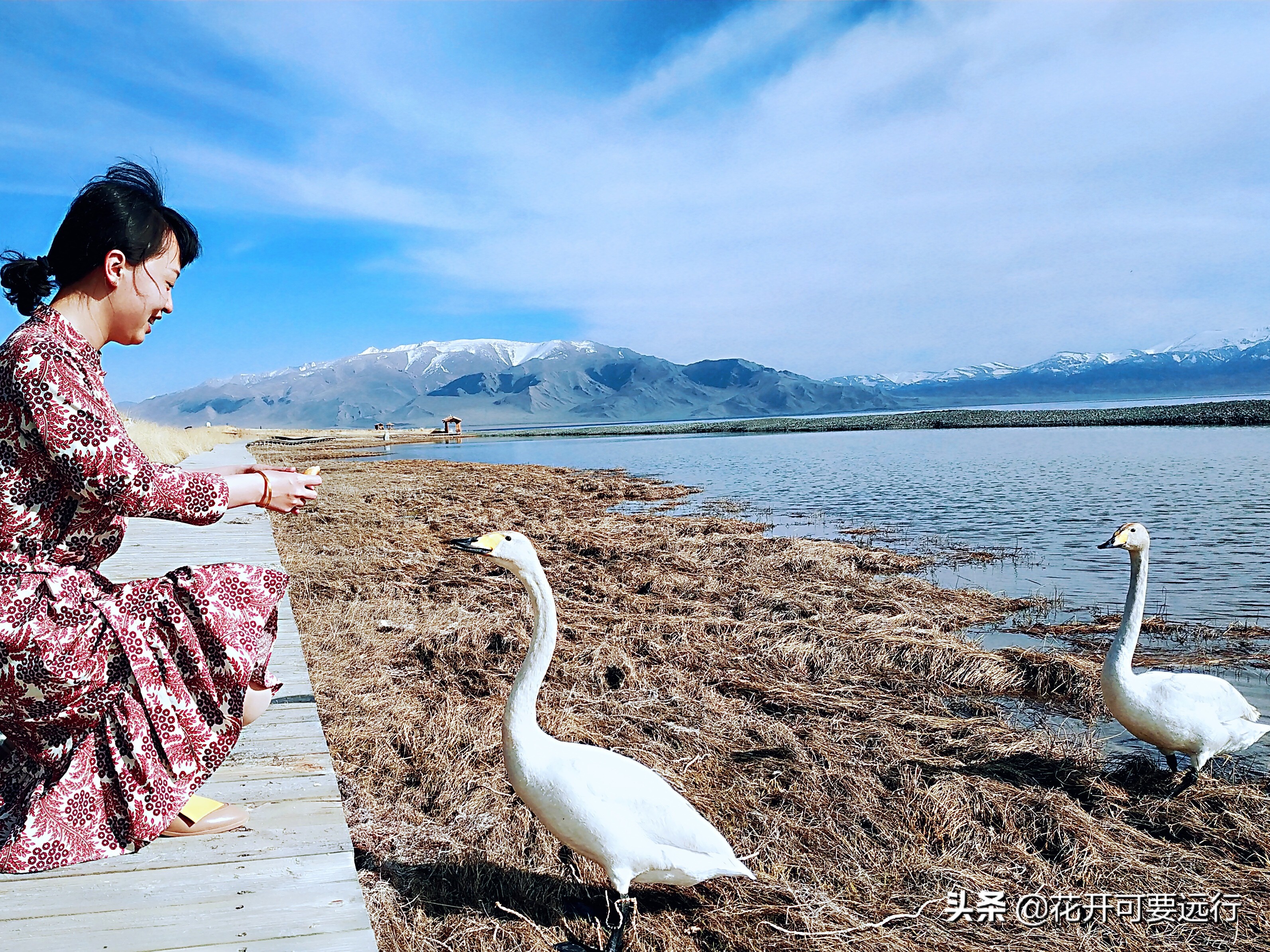 撒贝宁游塞里木湖,撒贝宁赛里木湖