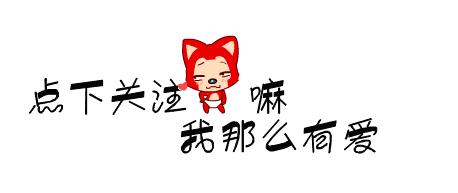 新手养狗怎样训练狗狗上厕所,幼犬如何训练狗狗定点大小便