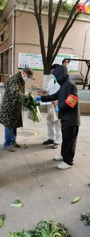 收到政府发放的爱心菜,政府领的爱心菜