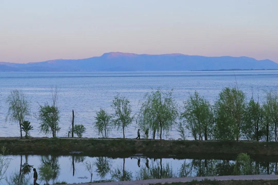 疫情防控取得阶段性胜利有序恢复,疫情胜利在望