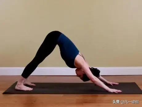 瑜伽下犬式的动作要领,瑜伽下犬式怎么跨一步