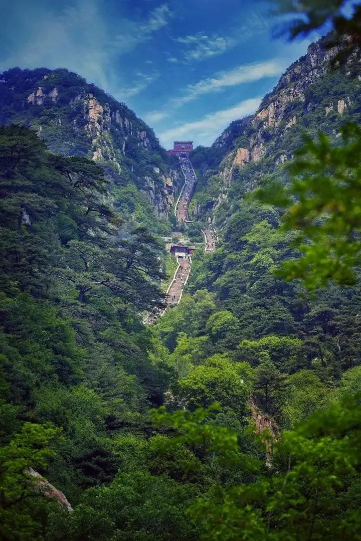 6月1日起山东免门票的景区名单,山东景区免门票政策有哪些