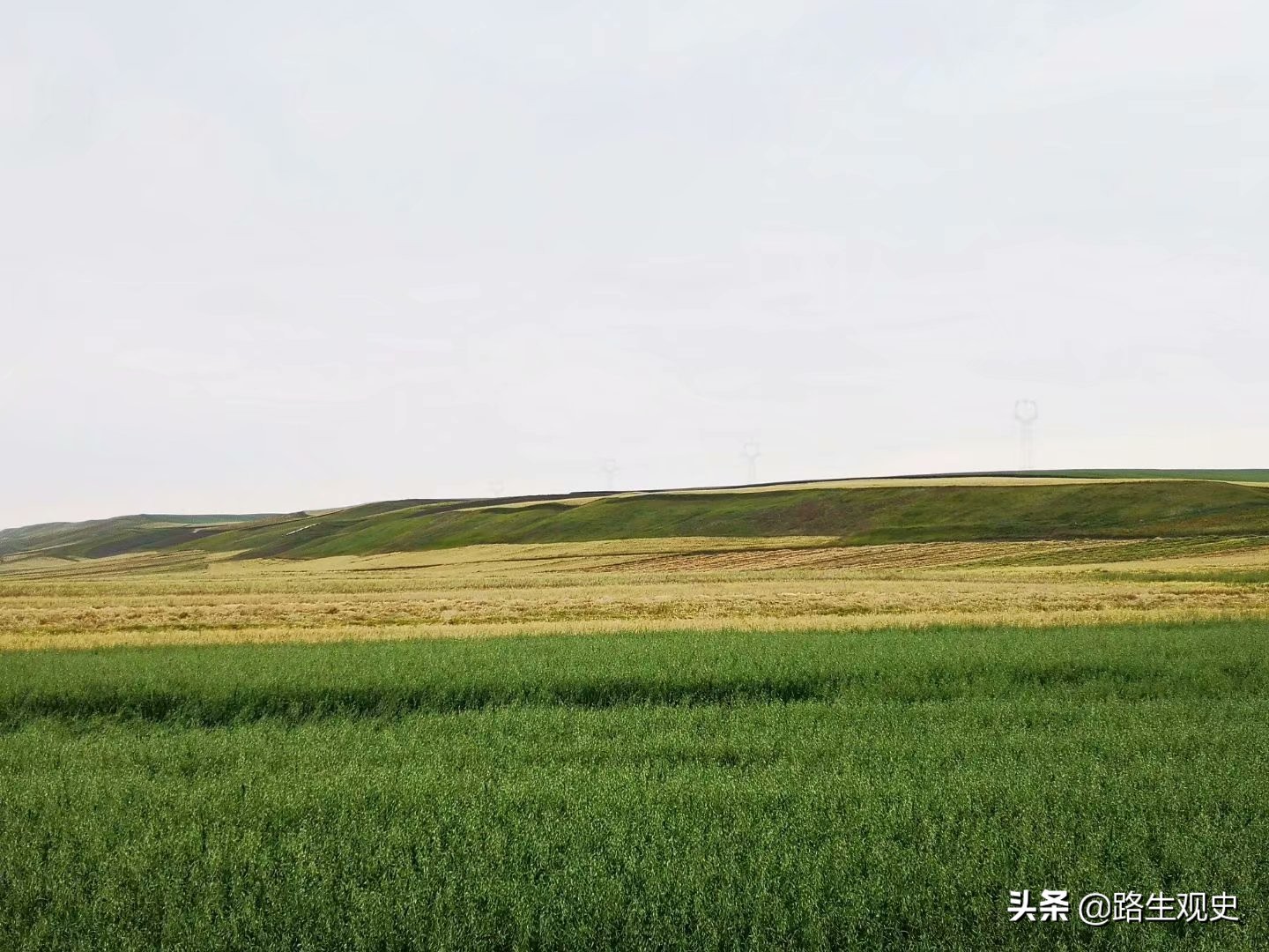 山丹军马场历史,山丹军马场的历史