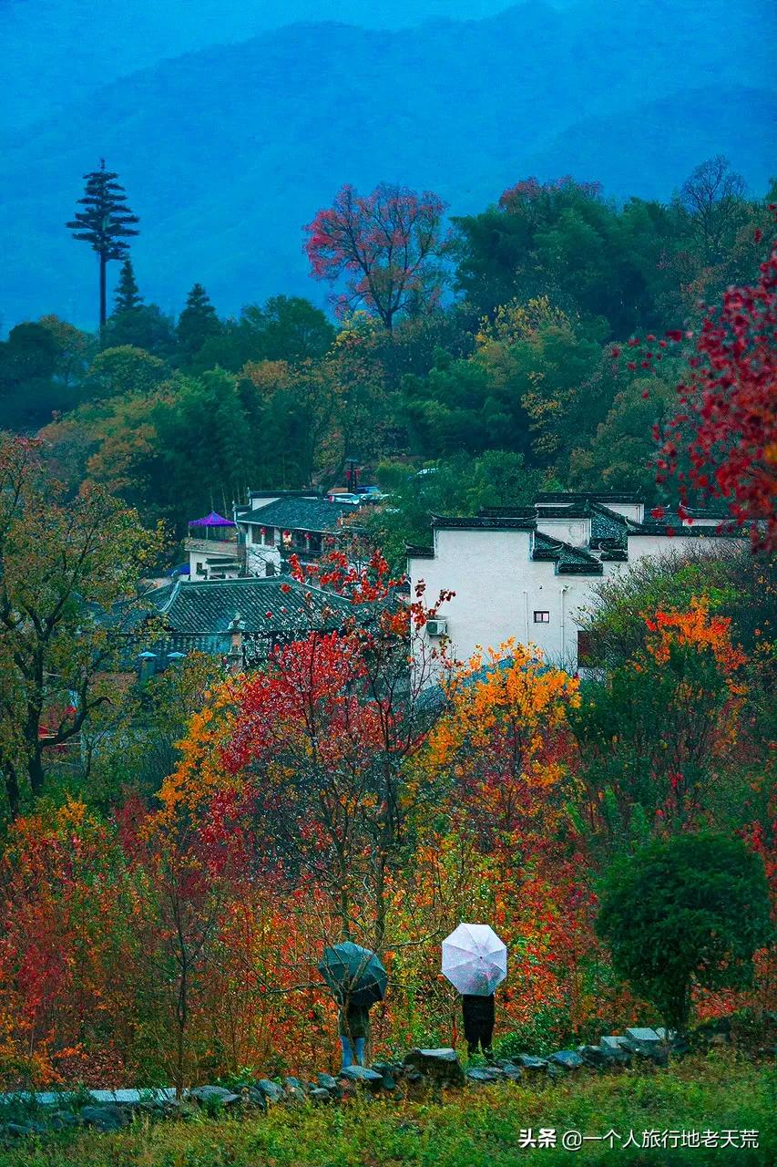 这才是12月最值得去的旅行地,11月12月去哪里旅游最美