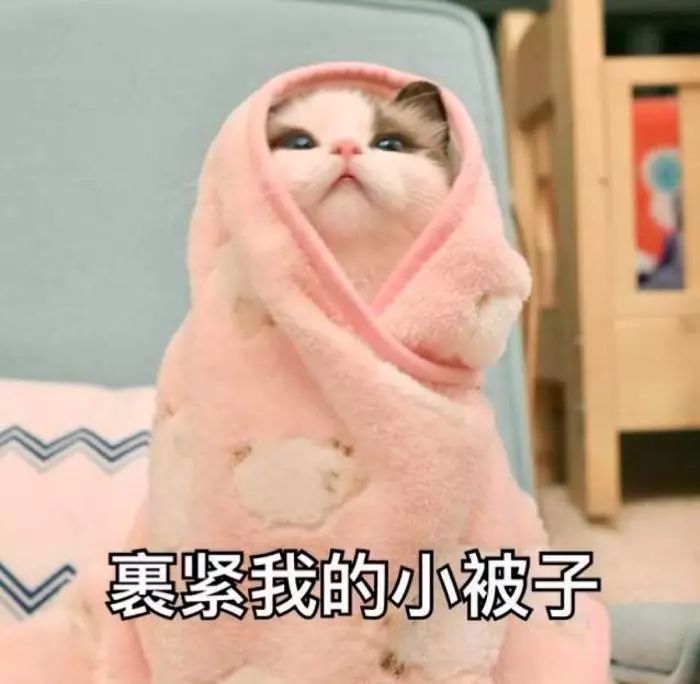 猩教练:正确解锁蛋*粉白**食用姿势(健身教练都不一定知道)