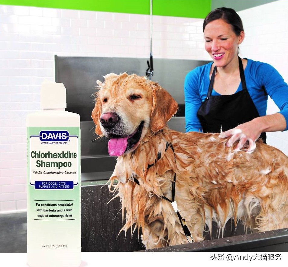 davis高端宠物洗护,davis强效清洁香波