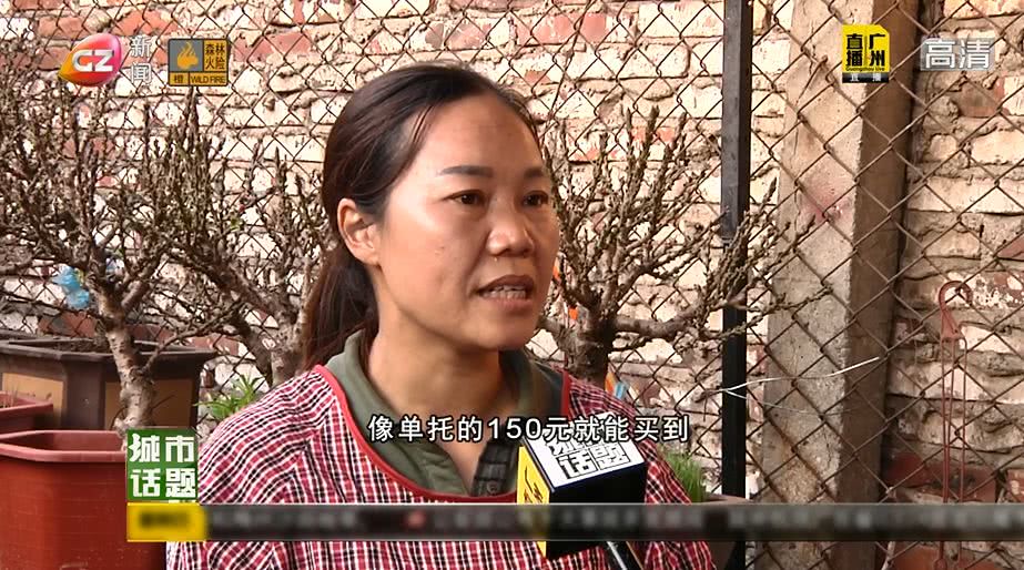 广州将举办迎春花市持续时间,广州迎春花市预约